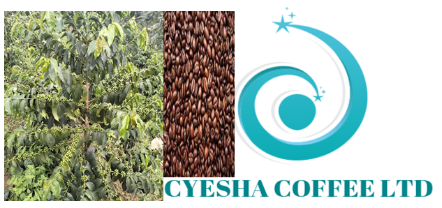 SEEDING PROGRESS, HARVESTING PROSPERITY, DRIVING DEVELOPMENT THROUGH SUSTAINABLE INNOVATION